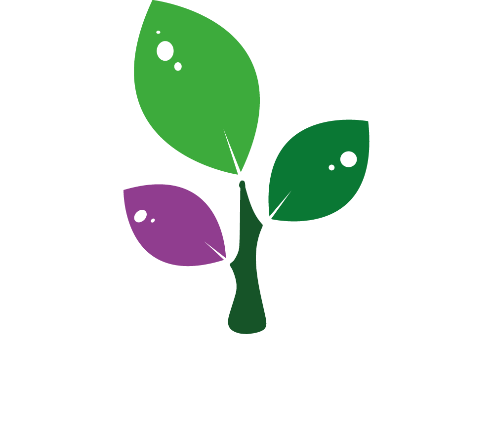 BucenDream